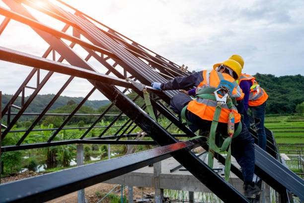 Best Local Roofing Companies  in Plummer, ID