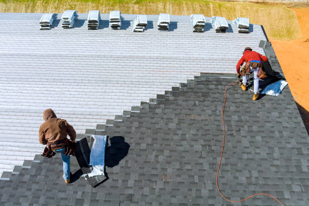 Best Roof Gutter Cleaning  in Plummer, ID
